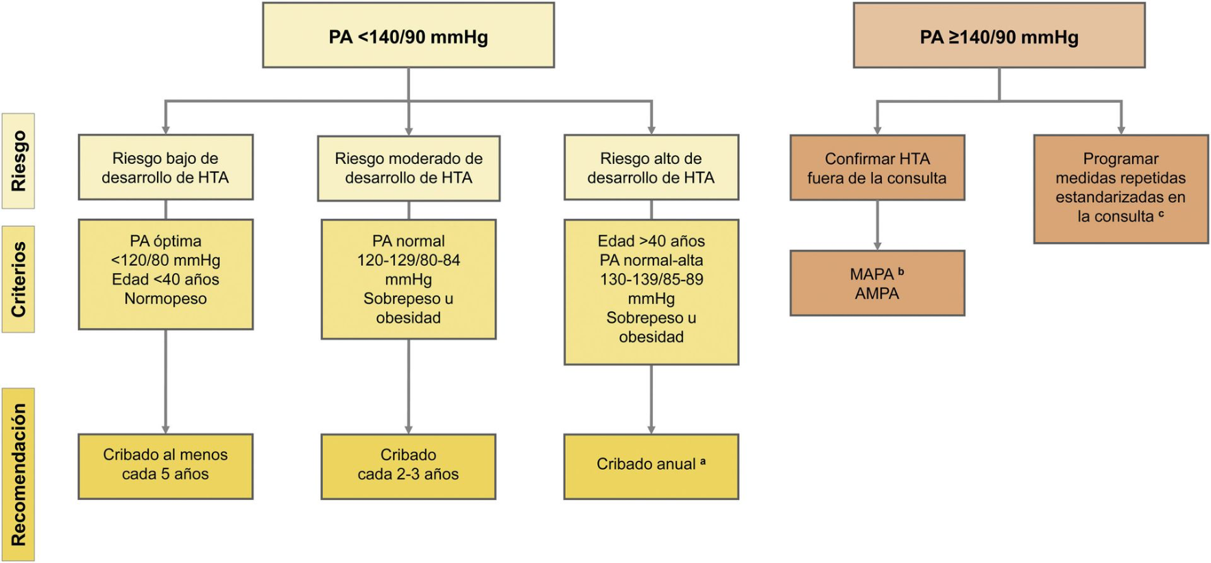Descubre cómo diagnosticar y manejar la hipertensión arterial con las guías más recientes. Aprende sobre prevención y tratamiento eficaz.