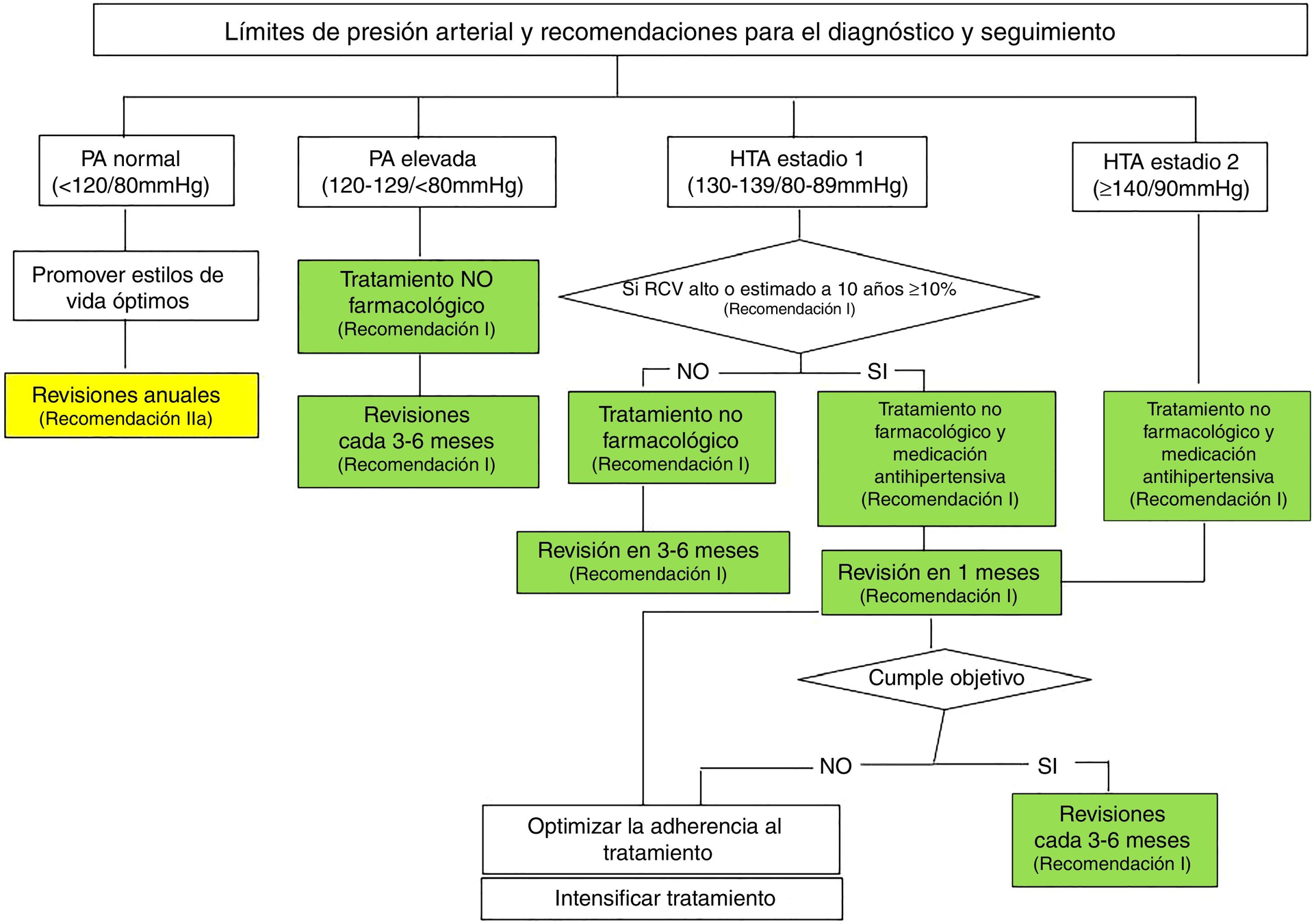 Descubre cómo diagnosticar y manejar la hipertensión arterial con las guías más recientes. Aprende sobre prevención y tratamiento eficaz.